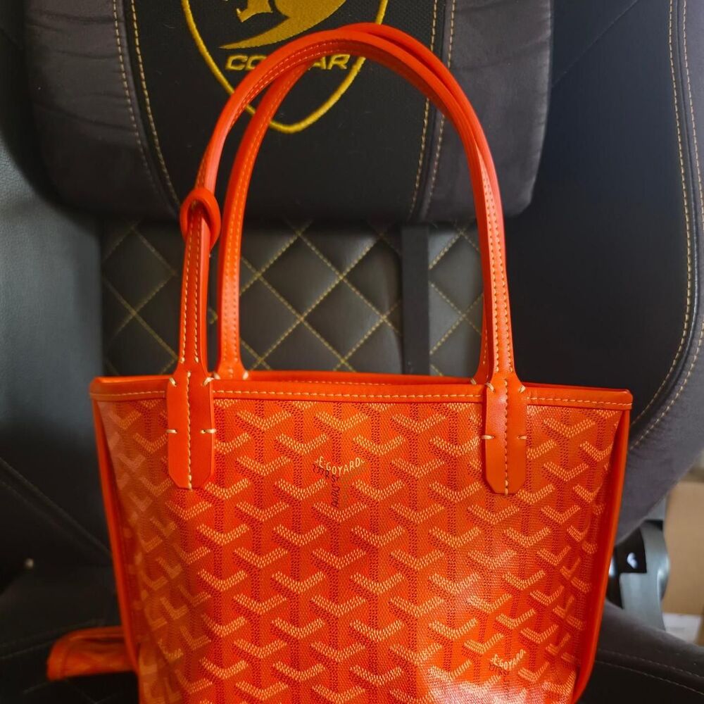 Goyard Women's Orange and Red Bag